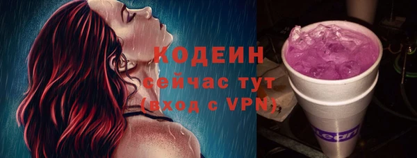 гидра Бородино