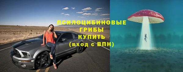 мдма Богородск